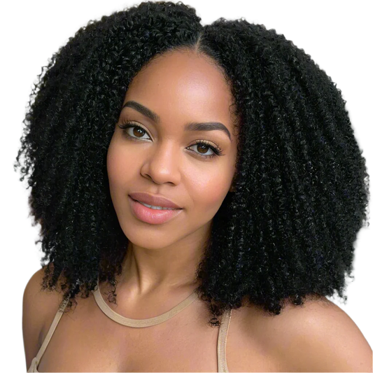 Afro Kinky Glueless Black Wig - 365 Hair Co.